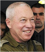 IDF_thumb1.jpg