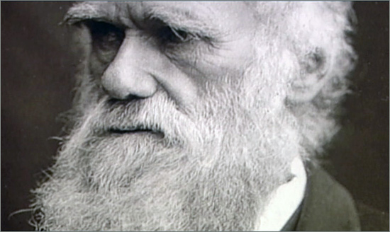 Una critica scientifica all’evoluzione charles_darwin.jpg