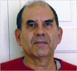 Professor Nikos Salingaros arch.jpg