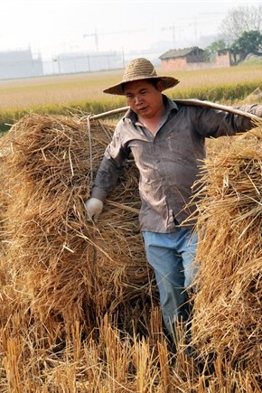 Cina, il villaggio degli scapoli