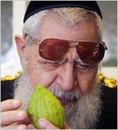 Rabbi  Ovadia Yosef