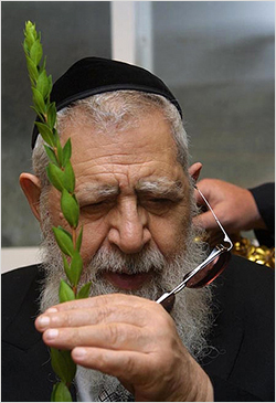 rabbi Ovadia Yosef