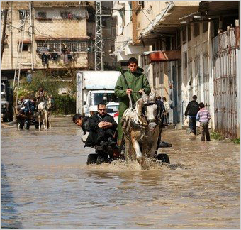 gaza_homes_3.jpg