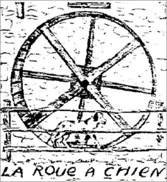 ruota.jpg